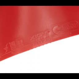 Xiom Vega Asia DF table tennis rubber