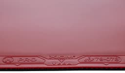 Xiom Vega Asia Hybrid table tennis rubber